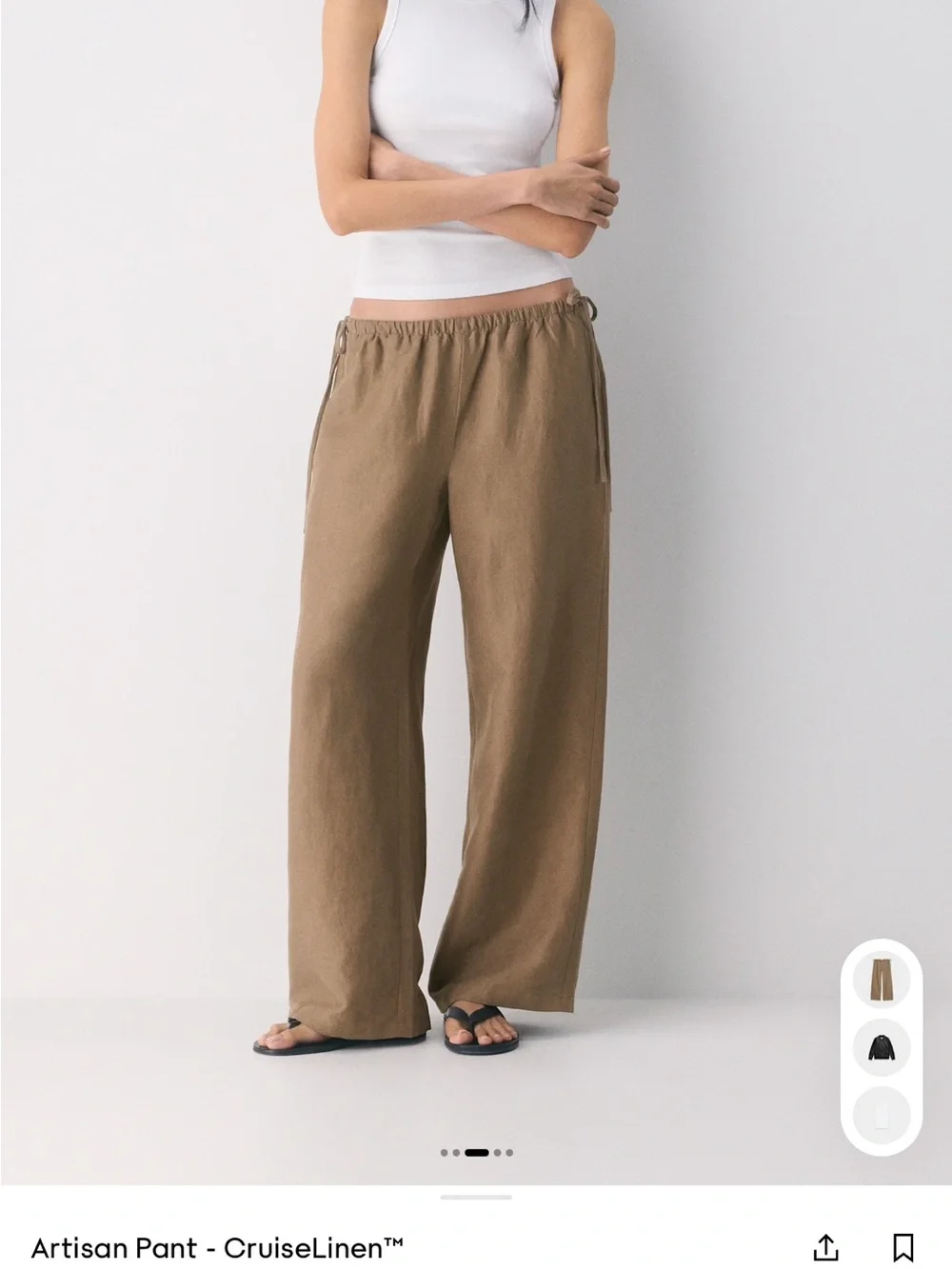 Aritzia Artisan CruiseLinen™ Pants in Taupe